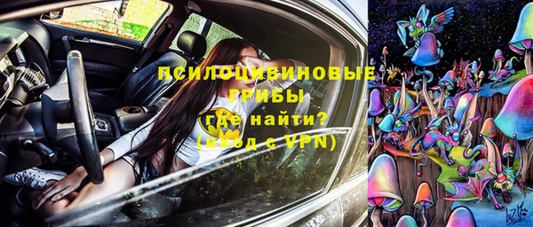 a pvp Медногорск