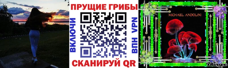 Галлюциногенные грибы Psilocybine cubensis Купить где Электросталь